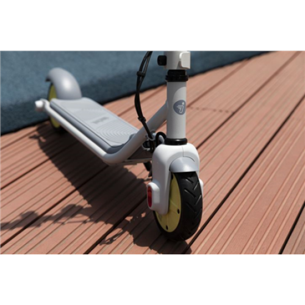 Segway Ninebot eKickscooter ZING C10, 24 month(s), Grey
