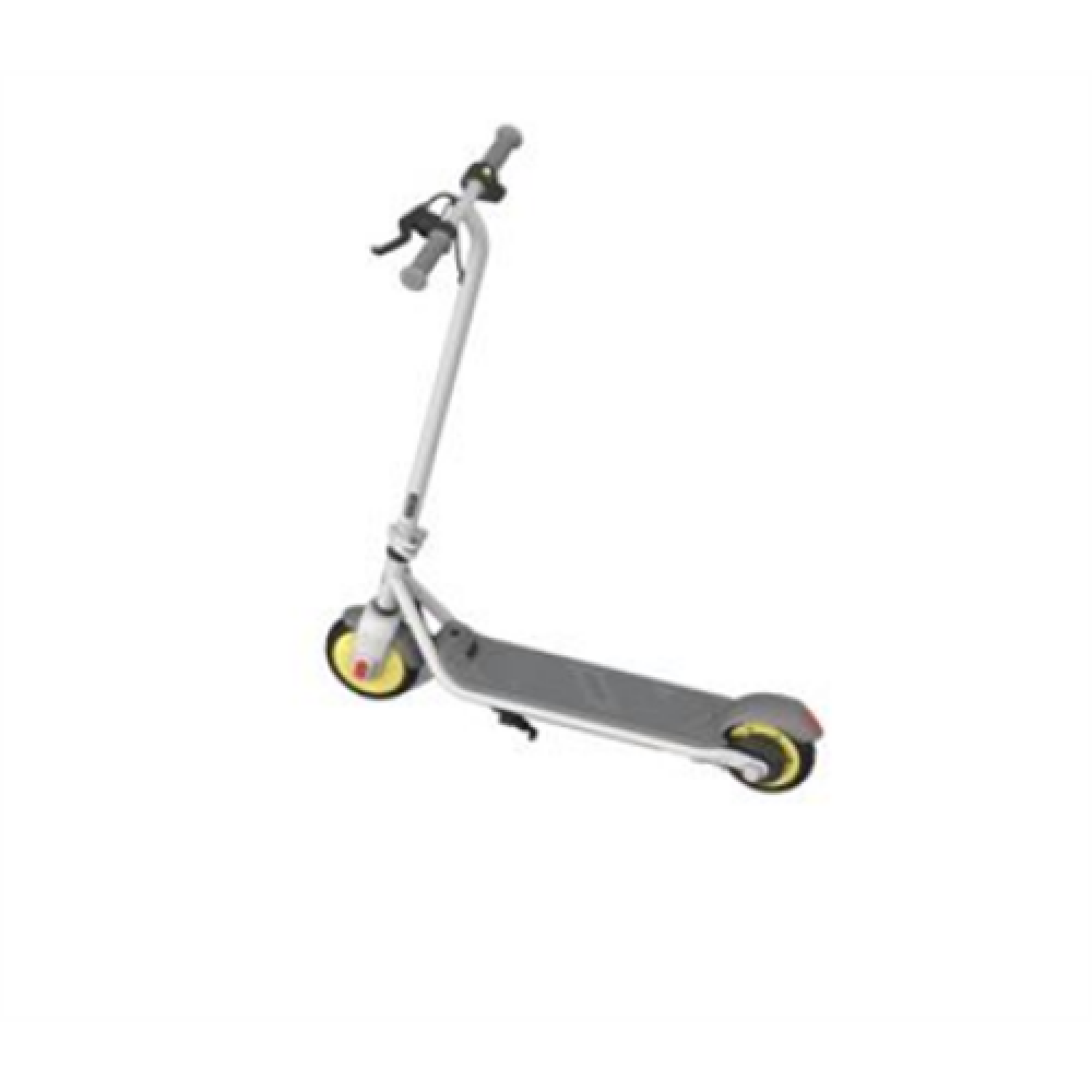 Segway Ninebot eKickscooter ZING C10, 24 month(s), Grey