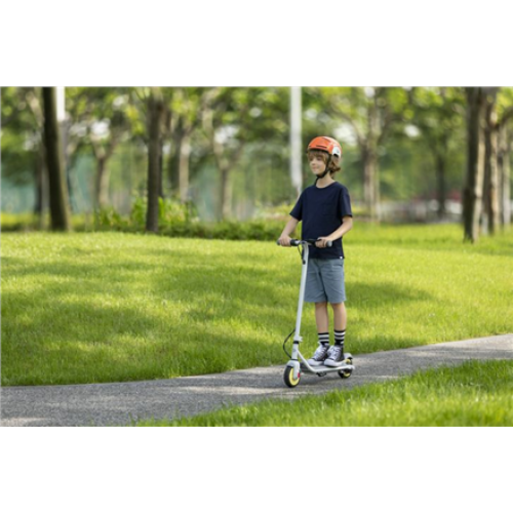 Segway Ninebot eKickscooter ZING C10, 24 month(s), Grey