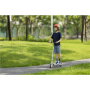 Segway Ninebot eKickscooter ZING C10, 24 month(s), Grey