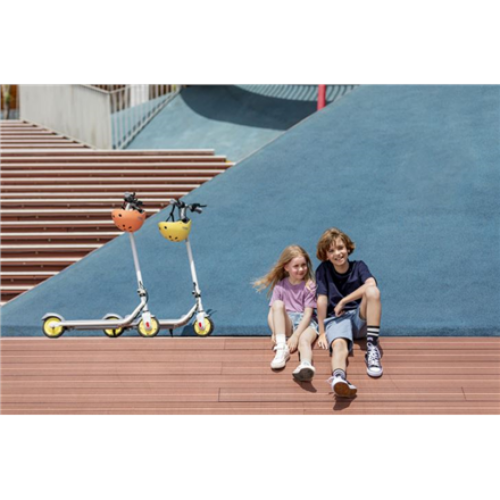 Segway Ninebot eKickscooter ZING C10, 24 month(s), Grey