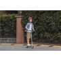 Segway Ninebot eKickscooter ZING C10, 24 month(s), Grey