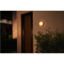 Philips Hue WCA Daylo Outdoor Wall Lantern, Black , 15 W , 2000-6500 Hue White Colour Ambiance