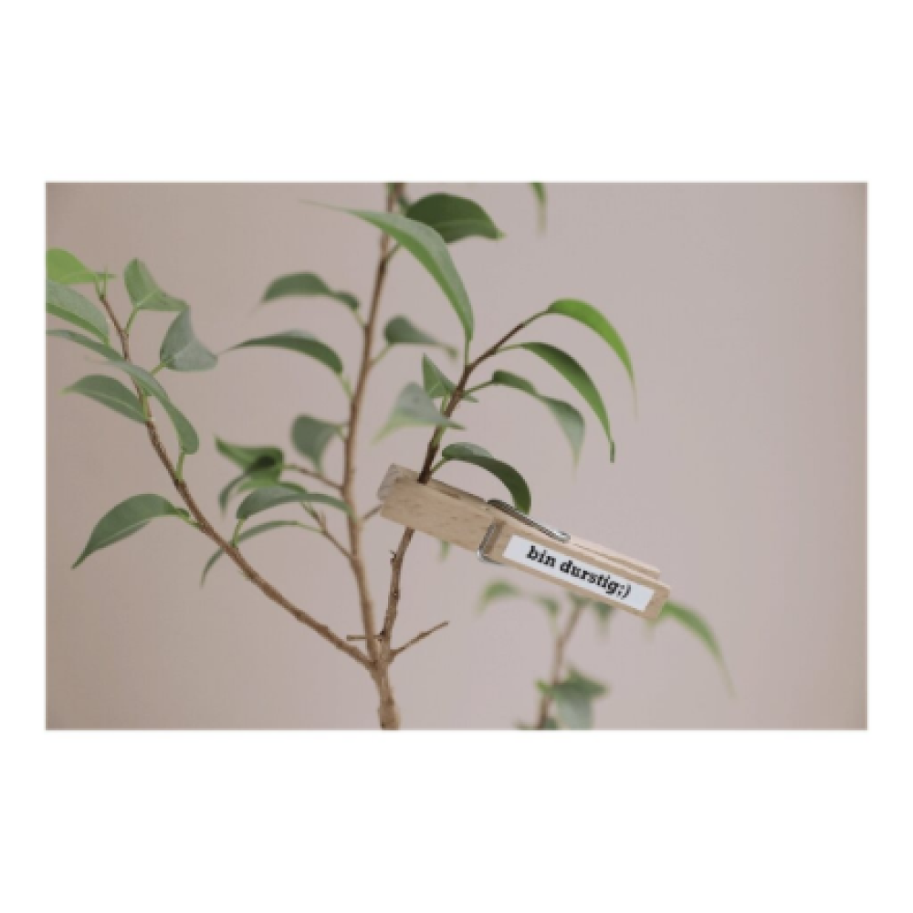 Brother , TZe-S211 Strong Adhesive Laminated Tape , Black on White , TZe , 8 m , 6 cm