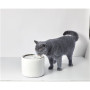 PETKIT , Smart Pet Drinking Fountain , Eversweet 3 , Capacity 1.35 L , Filtering , Material ABS , White