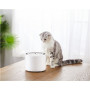 PETKIT , Smart Pet Drinking Fountain , Eversweet 3 , Capacity 1.35 L , Filtering , Material ABS , White