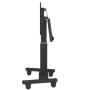 Neomounts Floor stand , PLASMA-M2500TBLACK TV trolley , Adjustable Height, Tilt , 42-100 , Maximum weight (capacity) 150 kg , Black