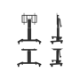 Neomounts Floor stand , PLASMA-M2500TBLACK TV trolley , Adjustable Height, Tilt , 42-100 , Maximum weight (capacity) 150 kg , Black