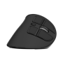 Natec Mouse Euphonie Pro BT 5.00, Wireless, Black
