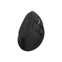 Natec Mouse Euphonie Pro BT 5.00, Wireless, Black