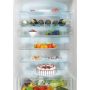 Candy Refrigerator CBT7719FW Energy efficiency class F Built-in Combi Height 193.5 cm No Frost system Fridge net capacity 281 L Freezer net capacity 83 L Display 33 dB White