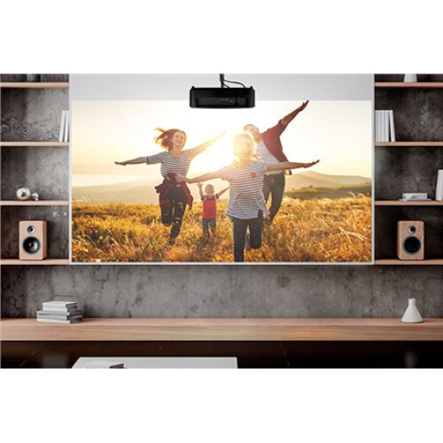 Optoma Bright 1080P Projection HD146X WUXGA (1920x1200), 3600 ANSI lumens, Black, 16:9