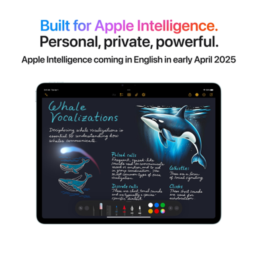 Apple iPad Air , 13 , Space Grey , Liquid Retina , 2732 x 2048 pixels , Apple M3 , 256 GB , 256 GB , Wi-Fi , Front camera , 12 MP , Rear camera , 12 MP , Bluetooth , 5.3 , iOS