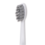 Adler , 2-in-1 Water Flossing Sonic Brush , AD 2180w , Rechargeable , For adults , Number of brush heads included 2 , Number of teeth brushing modes 1 , White