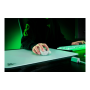 Razer , Gaming Mouse , Viper V3 Pro , Wireless/Wired , White