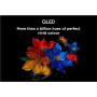 TCL 4K QLED TV , 65T8C , 65 , Smart TV , Google TV