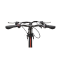 Telefunken Kompakt F820 Folding E-Bike 250 W 20 24 month(s) Anthracite