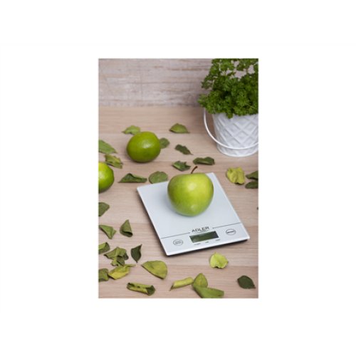 Adler , AD 3138 w , Maximum weight (capacity) 5 kg , White