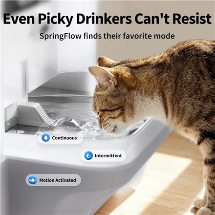 PETKIT Pet Water Fountain with Camera , EverSweet Ultra , Capacity 5 L , Material ABS, 304 Stainless Steel, PP, PPO , White