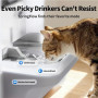 PETKIT Pet Water Fountain with Camera , EverSweet Ultra , Capacity 5 L , Material ABS, 304 Stainless Steel, PP, PPO , White