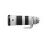 Sony , FE 200-600mm F5.6-6.3 , Sony E-mount