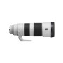 Sony , FE 200-600mm F5.6-6.3 , Sony E-mount