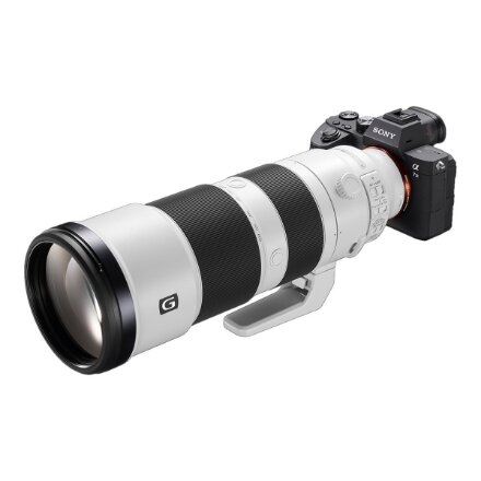 Sony , FE 200-600mm F5.6-6.3 , Sony E-mount