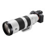 Sony , FE 200-600mm F5.6-6.3 , Sony E-mount