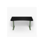 Arozzi Gaming Desk , Arena Medium , Forest Green