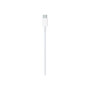 Apple , USB-C to Lightning Cable, 1 m