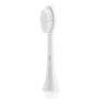 ETA , RegularClean ETA070790200 , Toothbrush replacement , Heads , For adults , Number of brush heads included 2 , Number of teeth brushing modes Does not apply , White