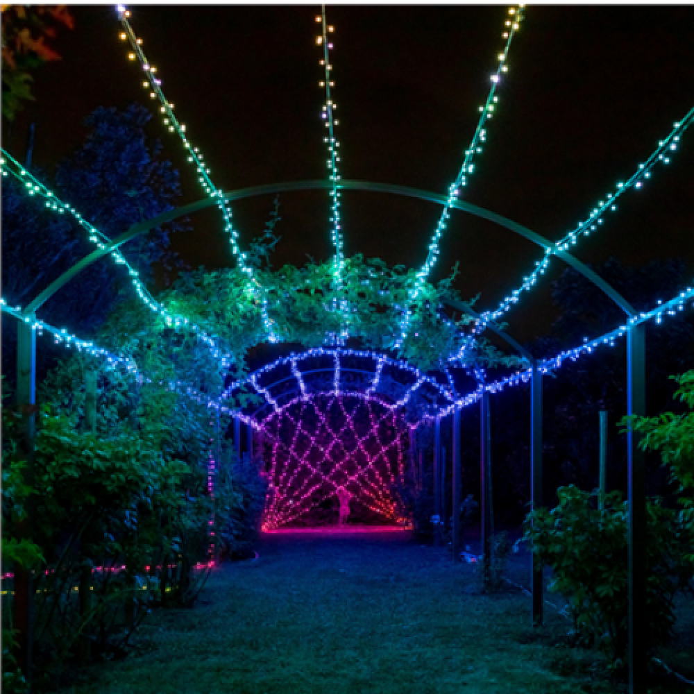 Twinkly,Strings Smart LED Lights 100 RGB (Multicolor), 8m, Black wire,RGB – 16M+ colors