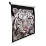 Elite Screens , M139NWX , Diagonal 353 , 16:10 , Viewable screen width (W) 2.98 cm , White