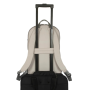 Targus Avila , Backpack , French Oak , 15-16 , Shoulder strap , Waterproof