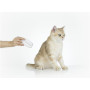 PETKIT , LED Nail Clipper PRO , White