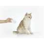 PETKIT , LED Nail Clipper PRO , White