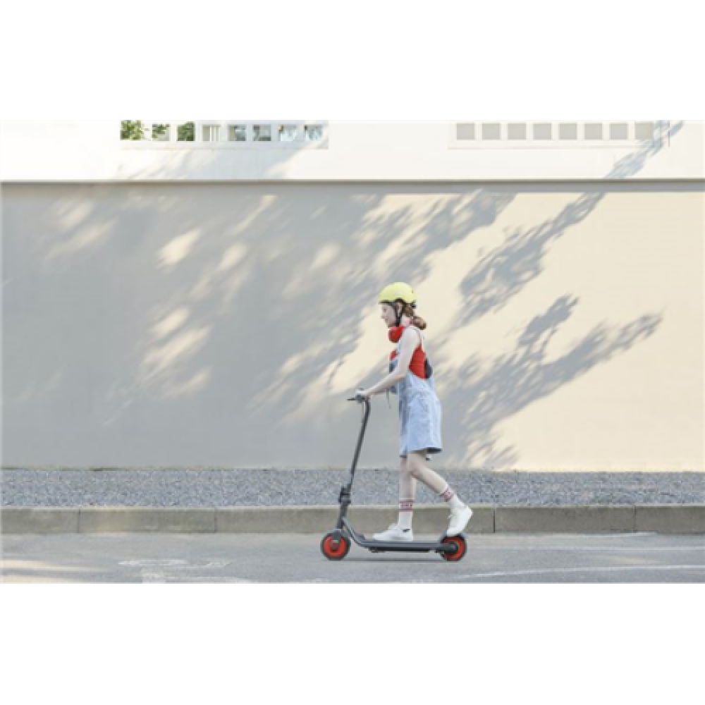 Segway Ninebot eKickscooter ZING C20, Grey