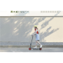 Segway Ninebot eKickscooter ZING C20, Grey
