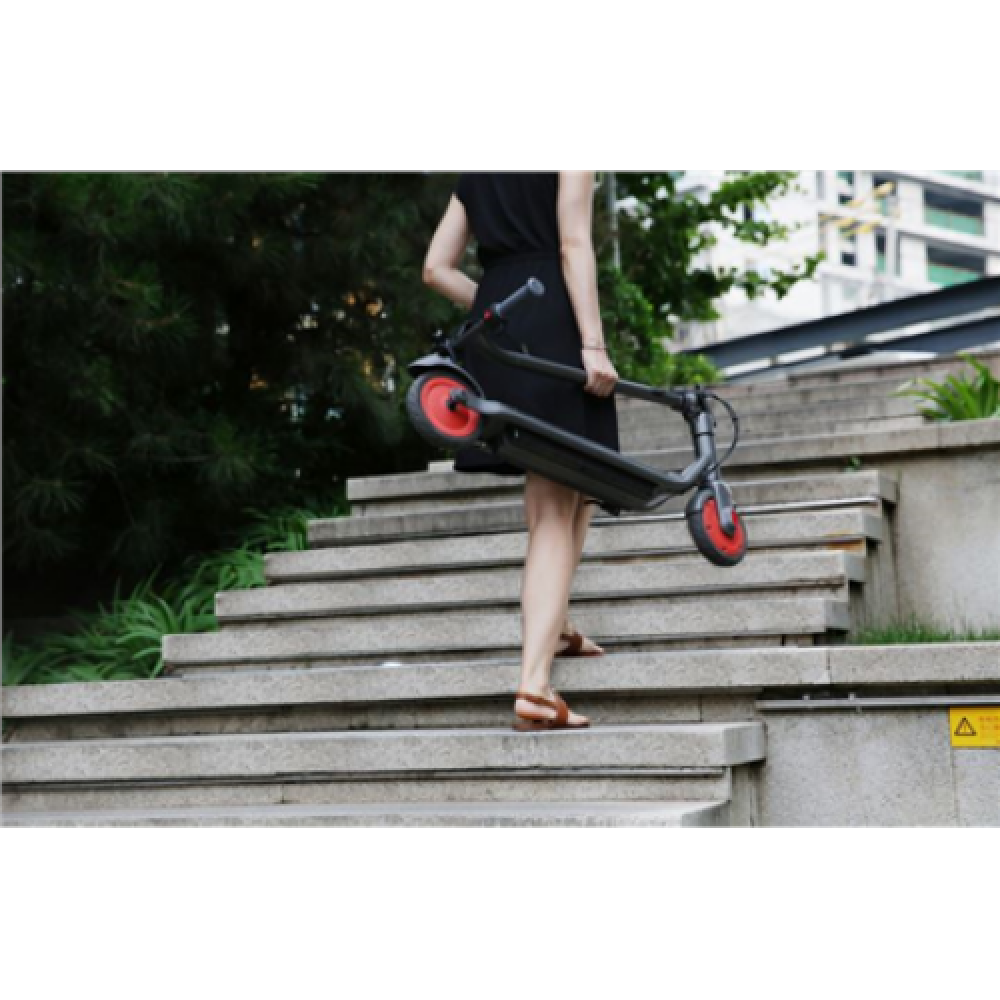 Segway Ninebot eKickscooter ZING C20, Grey