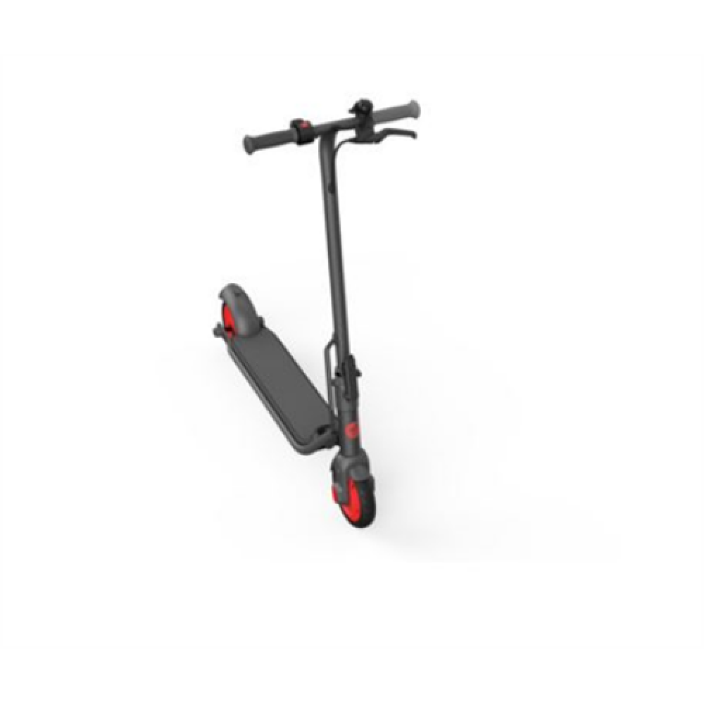 Segway Ninebot eKickscooter ZING C20, Grey