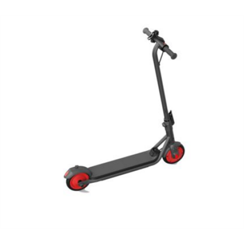 Segway Ninebot eKickscooter ZING C20, Grey