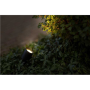 Ludeco Paulmann Lamp STIG PL3023, LED, IP44, Black , 1.5 W