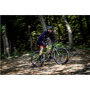 Argento Performance Pro, Mountain E-Bike, Warranty 24 month(s), Black/Green