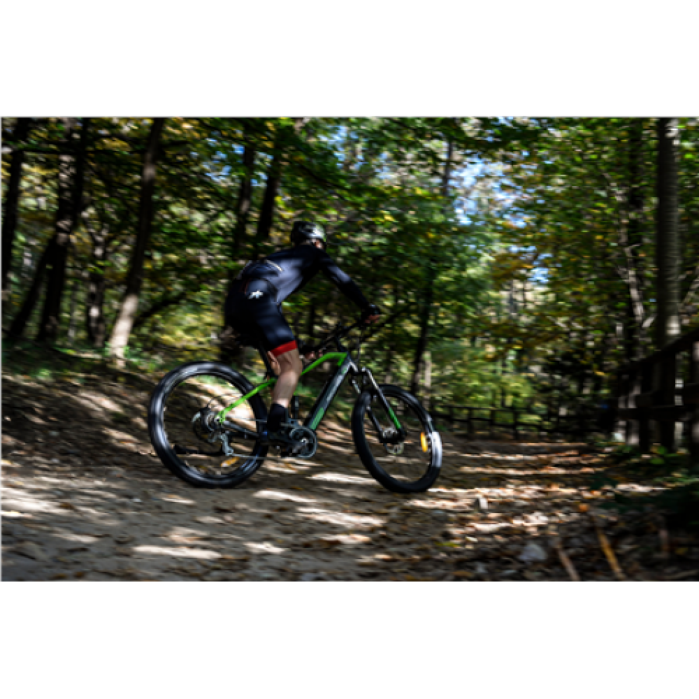 Argento Performance Pro, Mountain E-Bike, Warranty 24 month(s), Black/Green