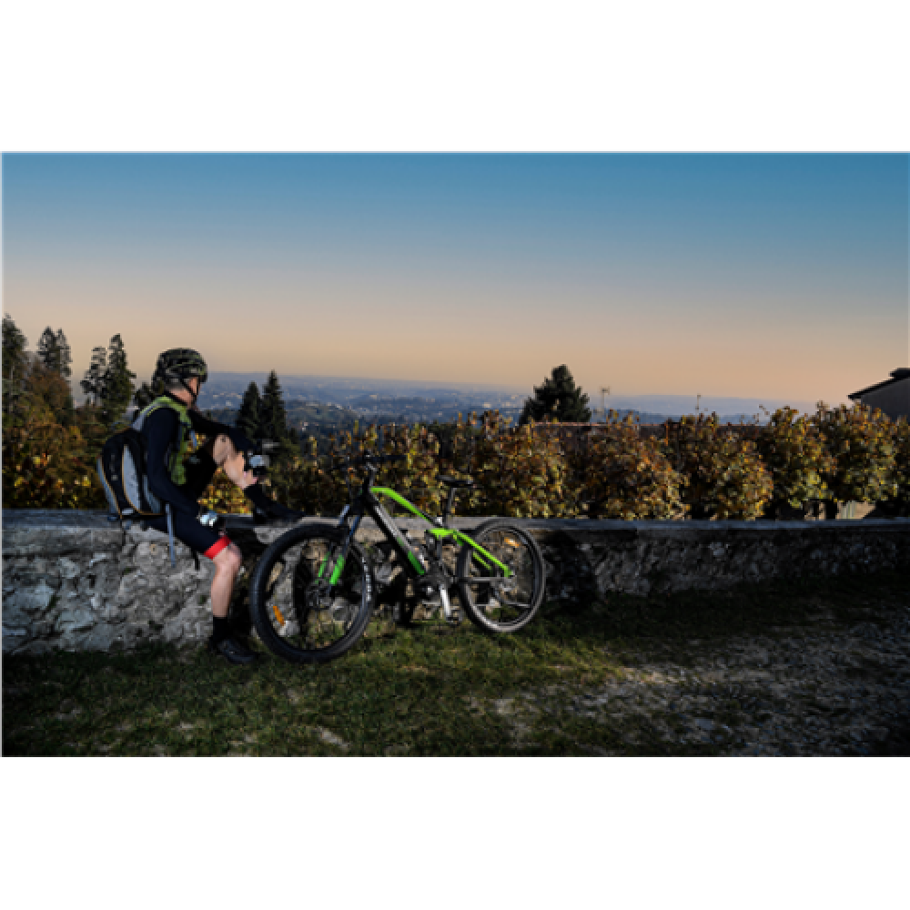 Argento Performance Pro, Mountain E-Bike, Warranty 24 month(s), Black/Green