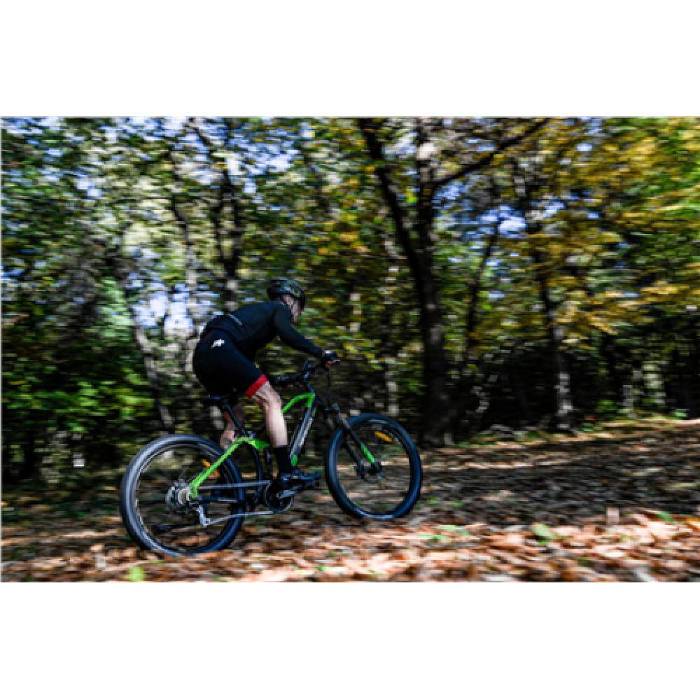 Argento Performance Pro, Mountain E-Bike, Warranty 24 month(s), Black/Green