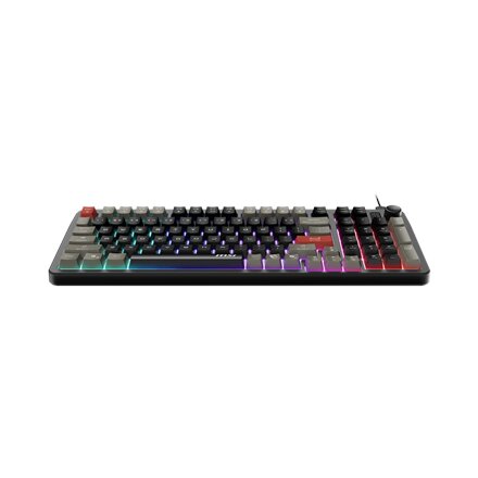 MSI FORGE GK110 US , Gaming keyboard , Wired , US , Membrane , Black