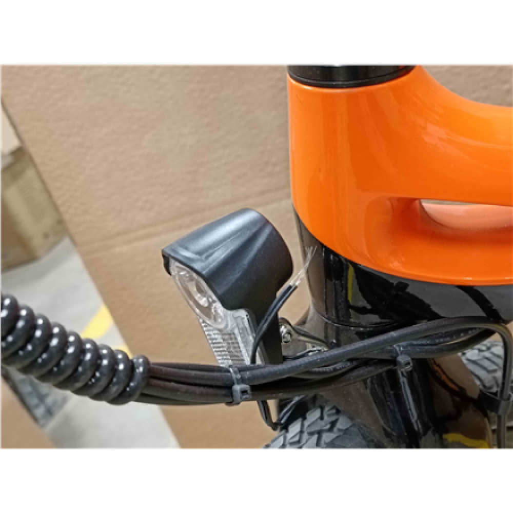 SALE OUT. Blaupunkt Fiene 500 E-Bike, 20“, Orange/Black, USED, DAMAGED WIRE OF FRONT LIGHT, SCRATCHED, DIRTY, WITHOUT ORIGINAL PACKAGING AND MANUALS Blaupunkt Fiene 500, E-Bike, Motor power 250 W, Wheel size 20 , Warranty 3 month(s), Orange/Black