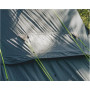 Outwell Two Room Dome Tent , Cloud 5 , 5 person(s) , Green
