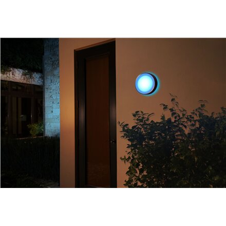 Philips Hue WCA Daylo Outdoor Wall Lantern, Inox , 15 W , 2000-6500 Hue White Colour Ambiance
